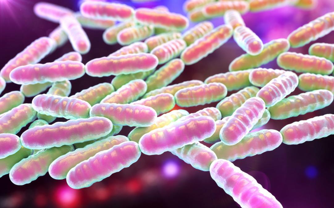 纤维素酶在农业上的应用图片,纤维素酶在膨化食品中应用