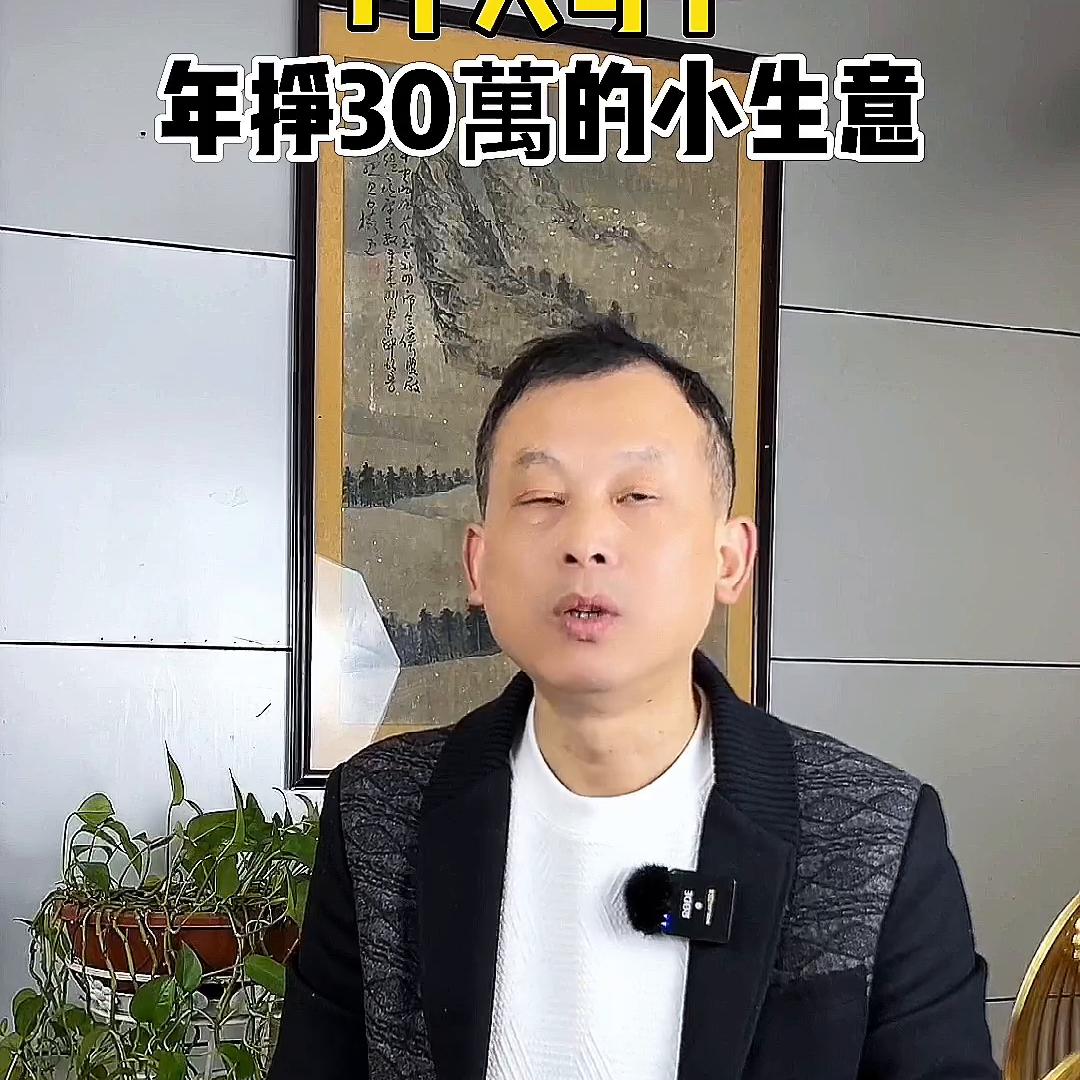 适合1个人干，1萬块都拿不出来，能年挣30萬的小生意#外卖平台