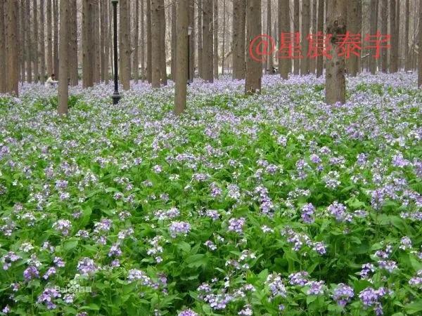 南京理工大学百科介绍,南京理工大学百科简介