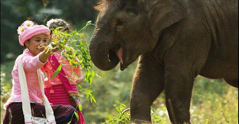 景洪夜景最好的地方,景洪边境是在什么地方