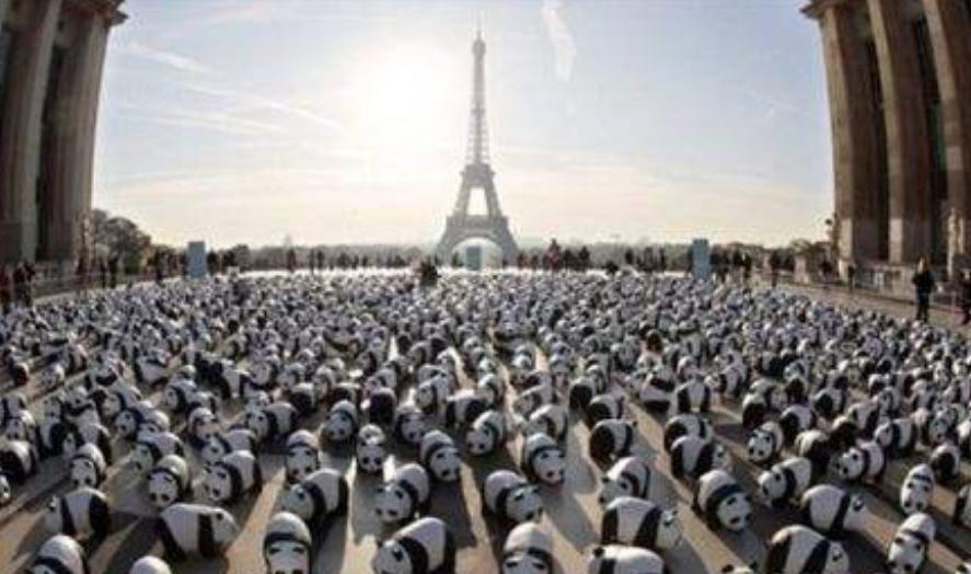 自家羊被咬死怒杀大熊猫,自家羊被大熊猫咬死判了多少年