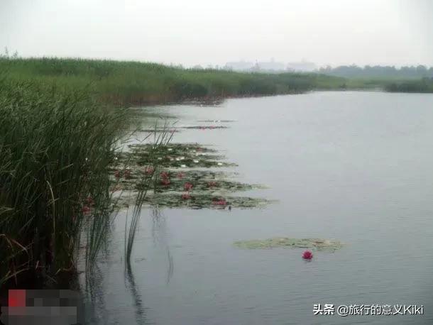 上海自驾西山旅游攻略,苏州东山一日游自驾游最佳路线图