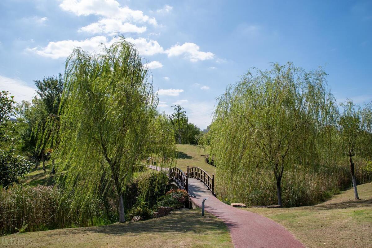 合肥最美公园在哪个区,合肥有哪些公园值得一去