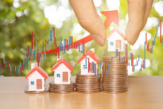 副食批发利润分析,副食品一级代理商利润