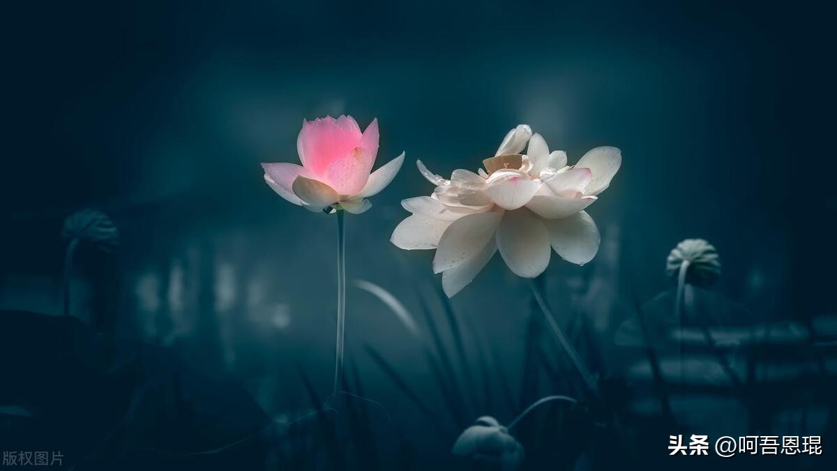 人生真正重要的只有一件事,人生最重要的是什么东西