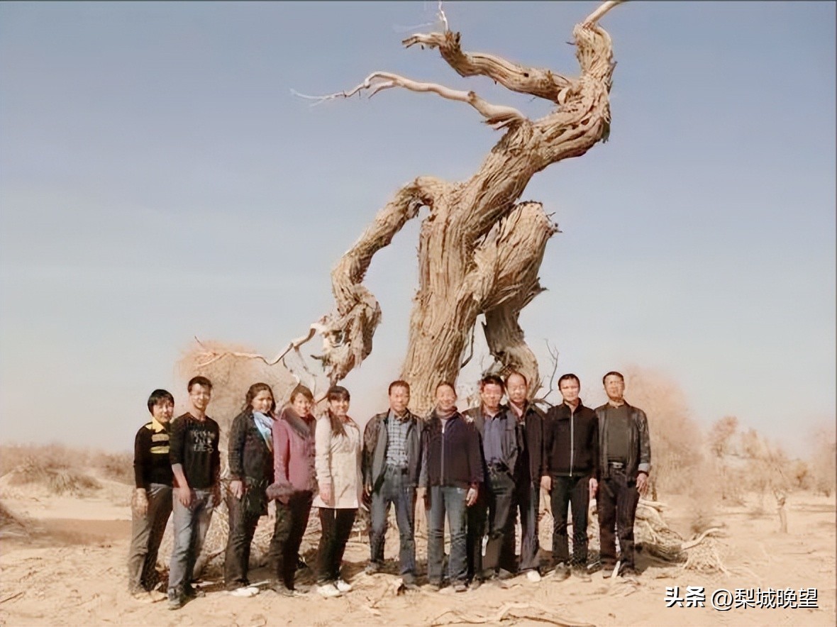 博湖苇业往事回忆录,博湖苇业视频