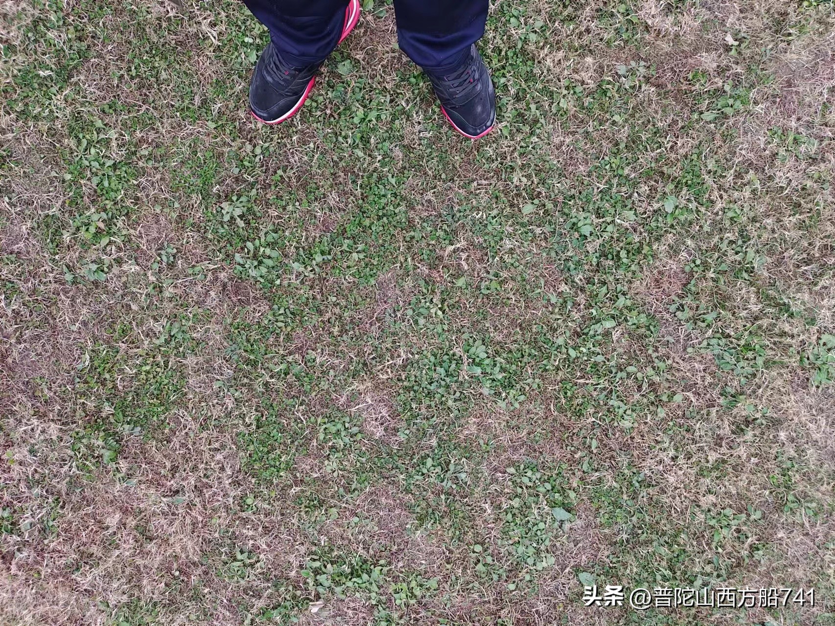 太平寺足球的故事(永不言弃)