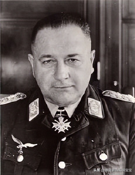 二战德国将军军衔图案,二战德国突击队队长军衔