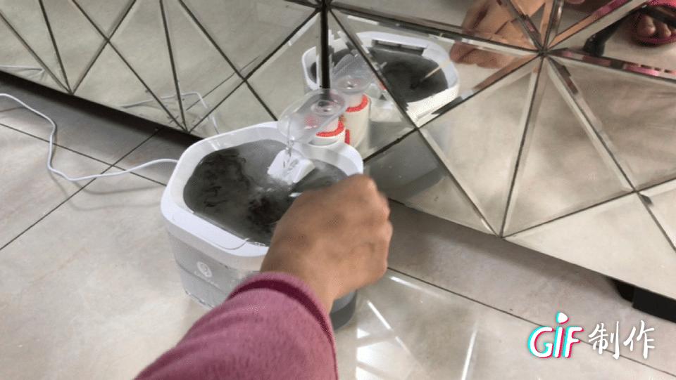 饮水机属于智商税么,猫咪喝水自动饮水机是智商税吗