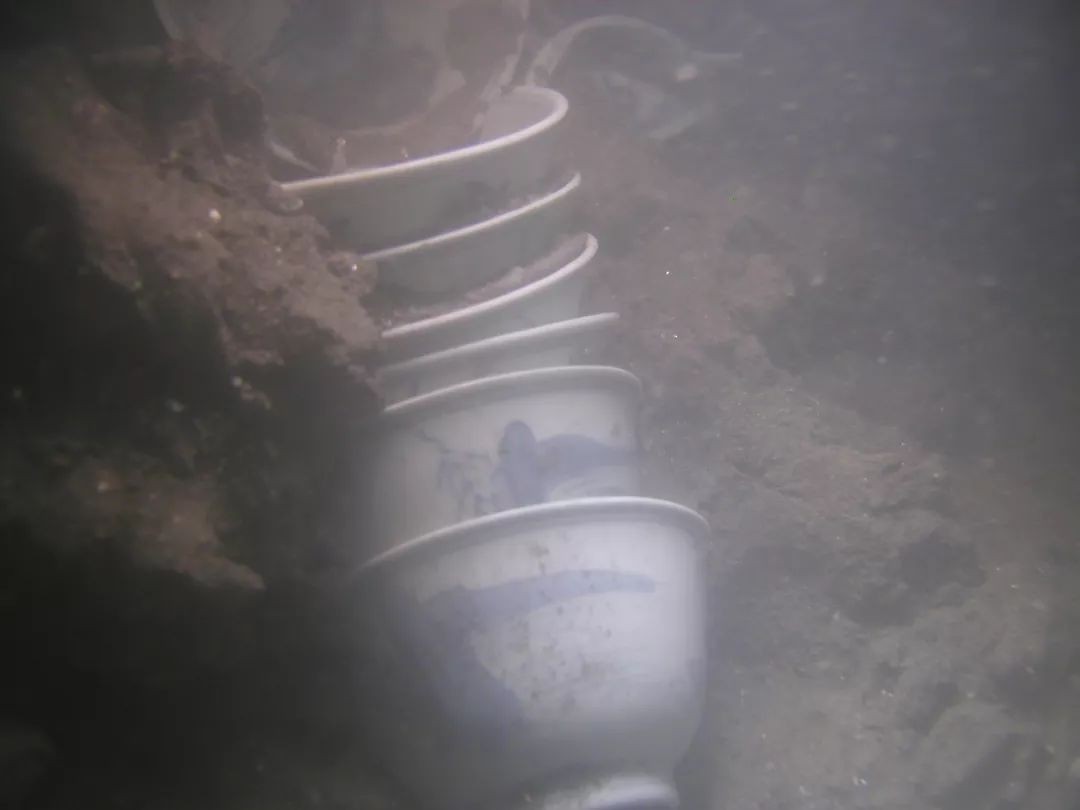 16年前的一次捕捞，竟揭开了这片海域的神秘面纱，宝物是如此之多