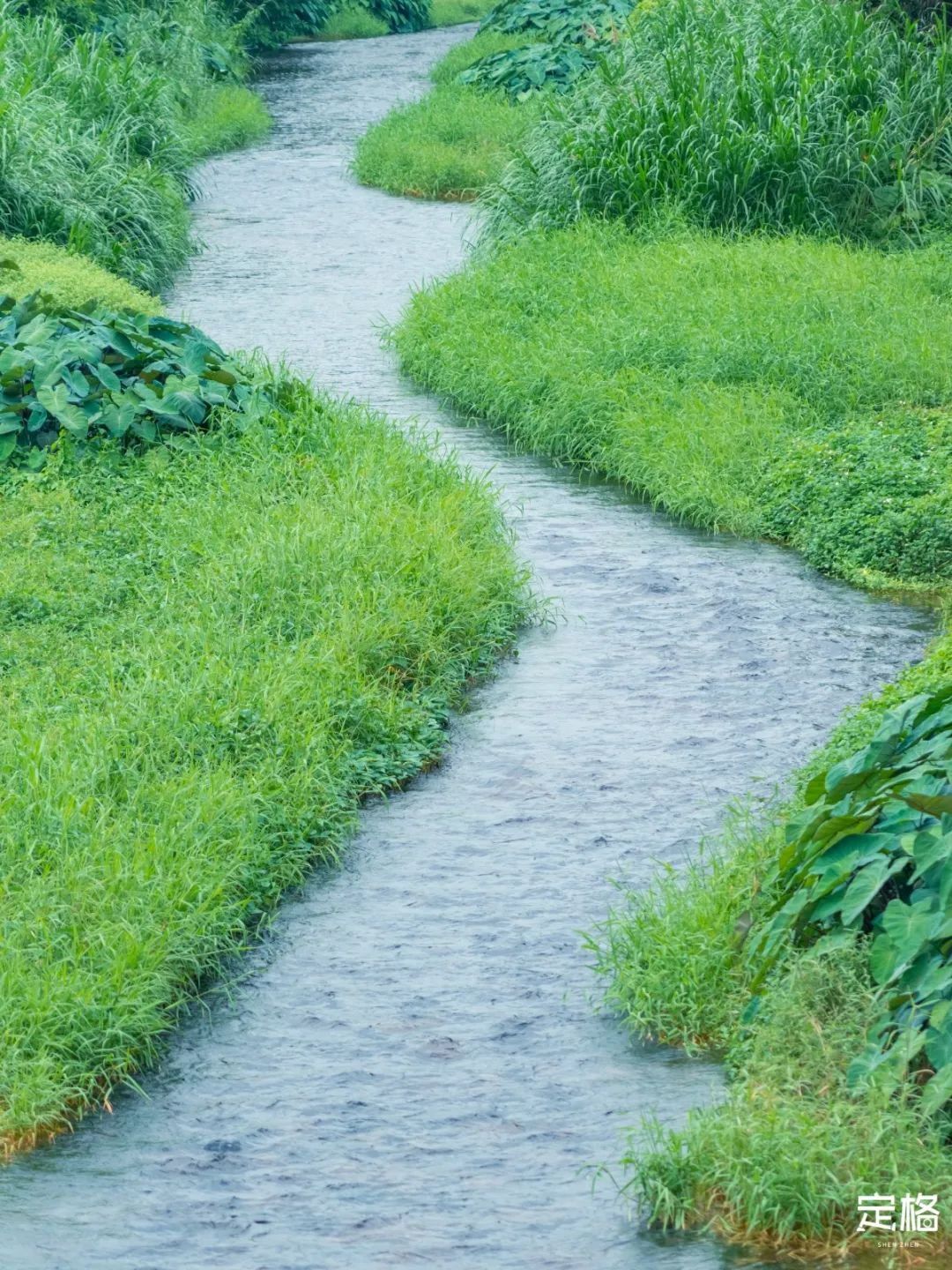 国内好看小众的湖泊,深圳好玩的湖泊有哪些