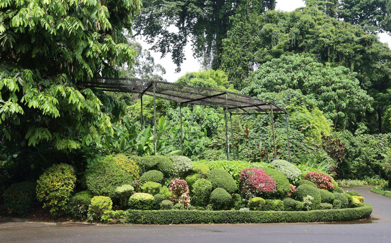 斯里兰卡旅游攻略必去景点,斯里兰卡旅游攻略最佳时间