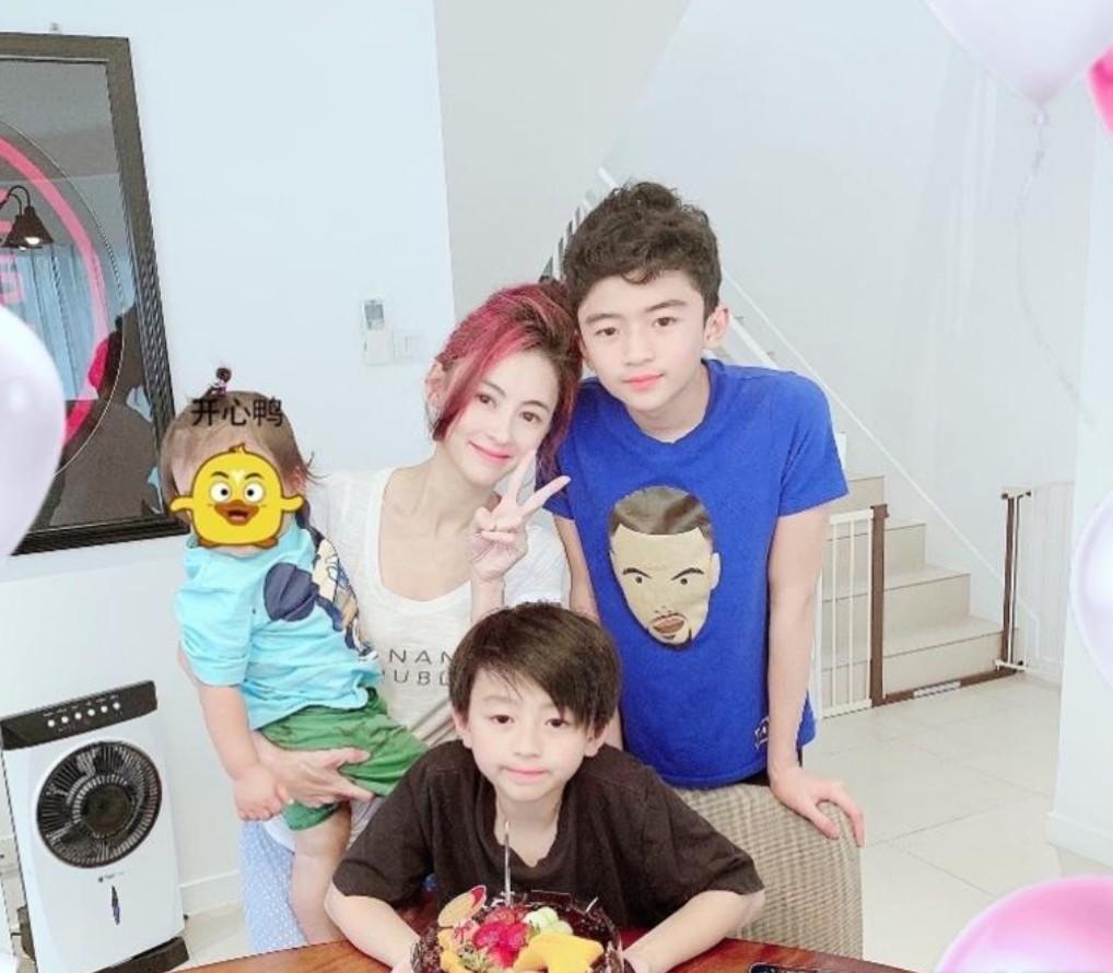 张柏芝被宠物狗咬脸,张柏芝小儿子受伤