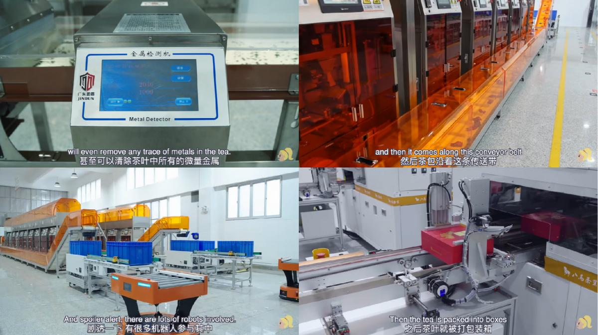 不愧是八马！吸引澳大利亚博主探访，铁观音火到海外去了