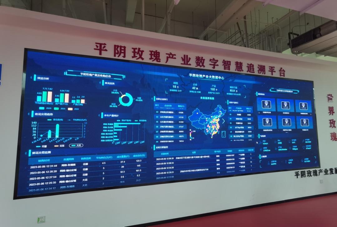 平阴玫瑰博览会门票,2019平阴玫瑰产业博览会