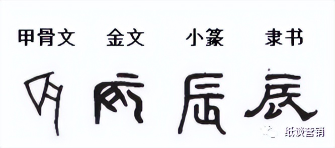 十二地支本身的字义,十二地支的详尽解释图