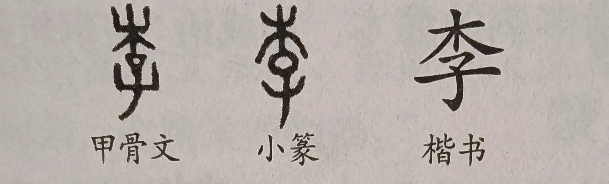 李姓排名和姓李的故事,李姓排行第几名