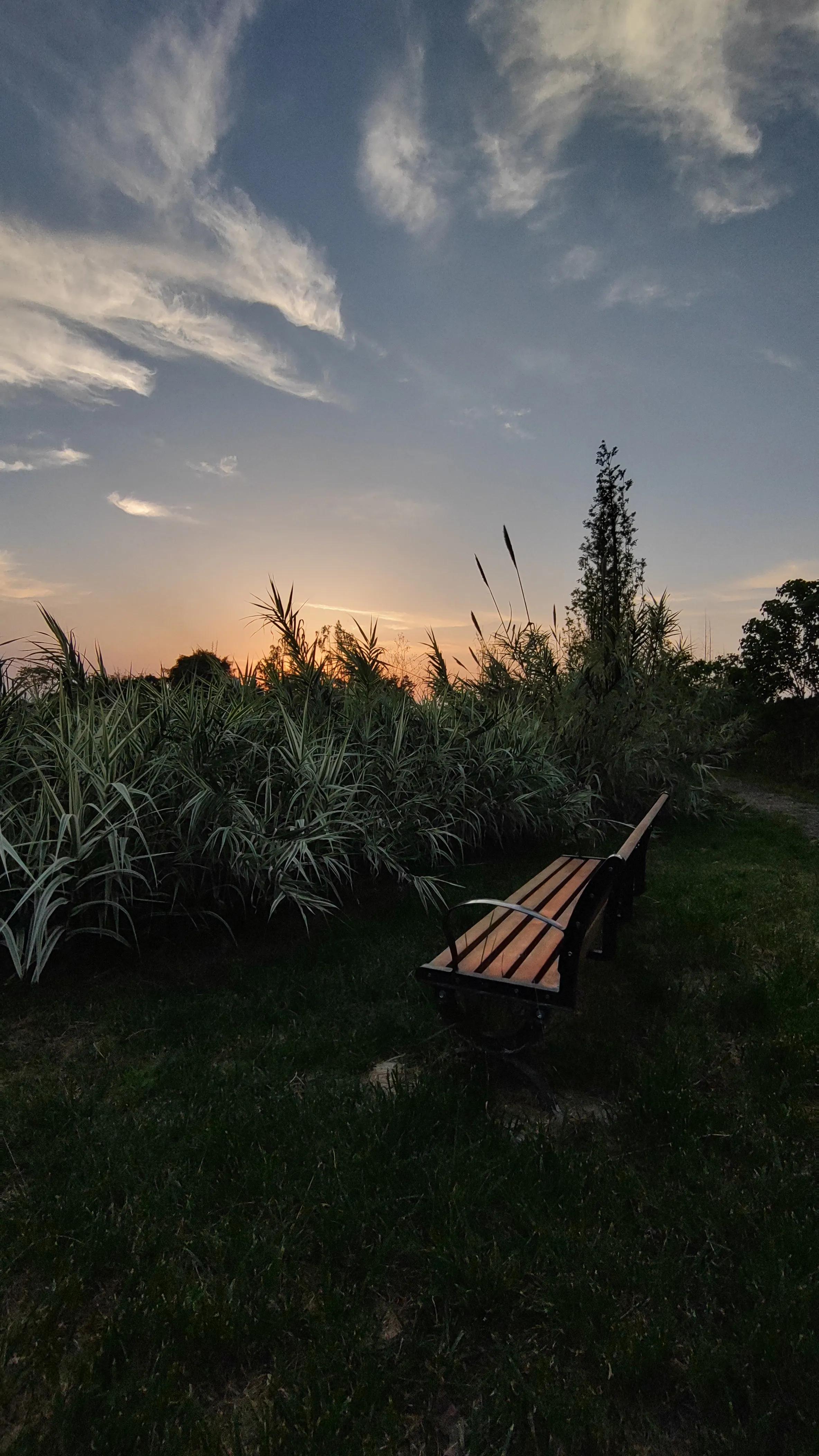 新都斑竹园音乐小镇民宿,斑竹园音乐小镇攻略