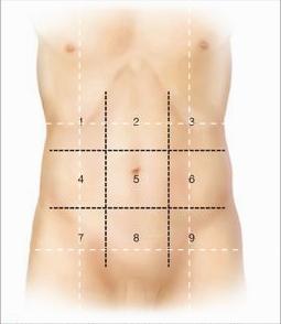 肚子疼的原因和处理方法,肚子很疼怎么办快速止痛小妙招