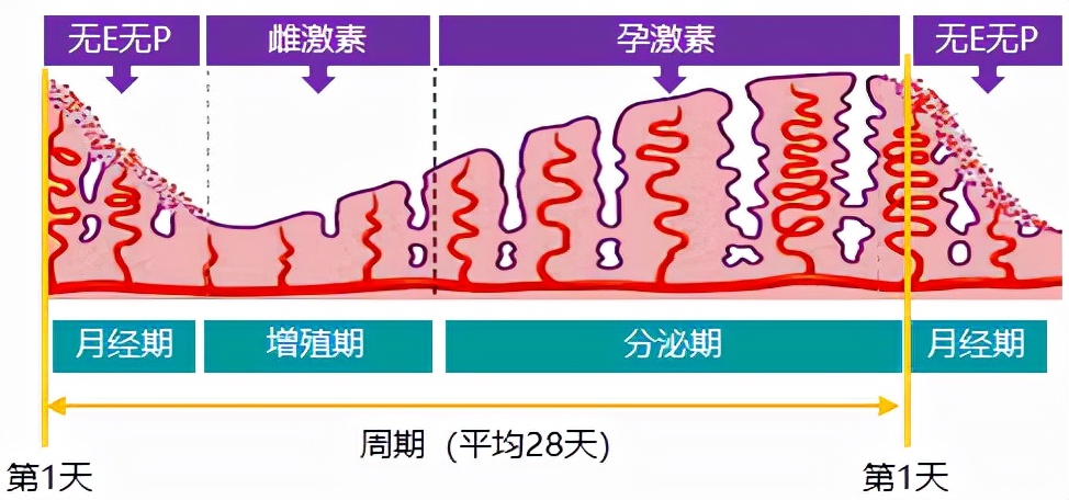 怕她不来又怕她乱来的文案,怕她不来又怕她乱来出处