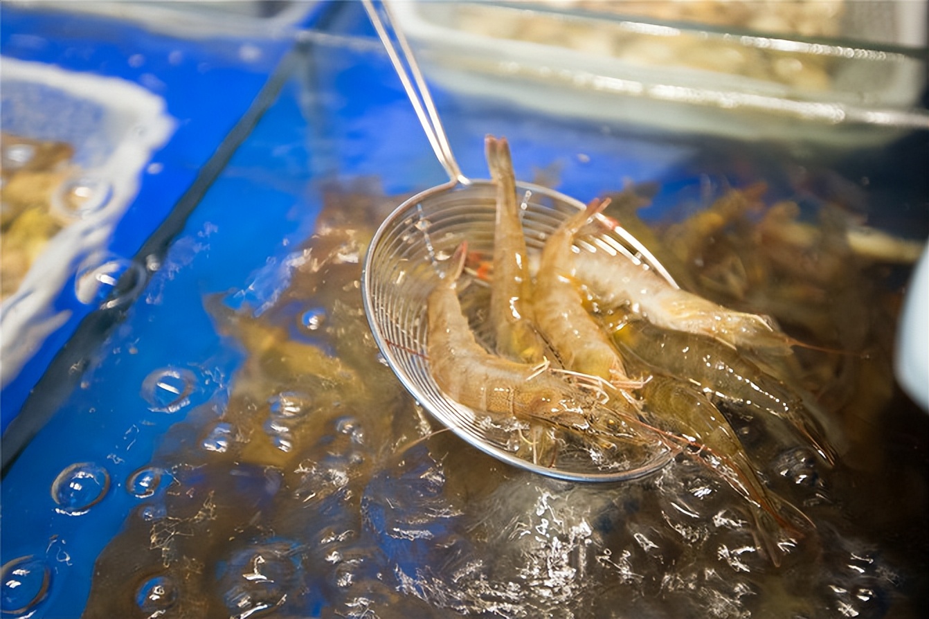 黄岐希尔顿龙狮轩中餐厅早茶,佛山黄岐美食推荐早茶