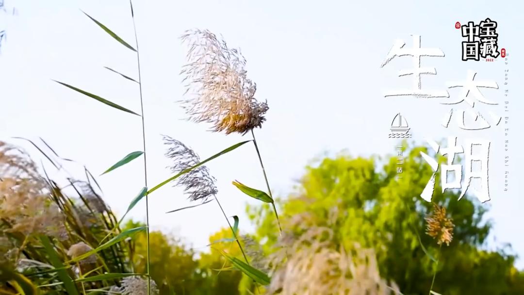 “用脚步丈量城市用好奇探索生活”，宝藏河北第三季「遇见好时光」圆满收官！