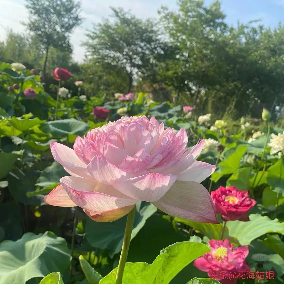 感觉自己好累好累的句子,感觉自己每天都好累好累