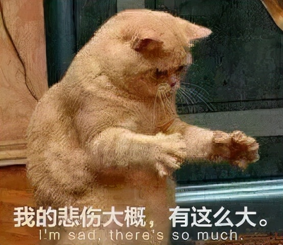 你读博了，你当初的本科舍友都怎样了？