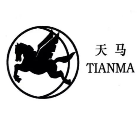 浙江天马轴承集团总部图片,天马科技集团现状