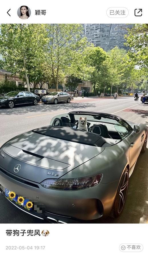 汪小菲给张颖颖买了什么给大s,汪小菲对大s好还是对张颖颖好