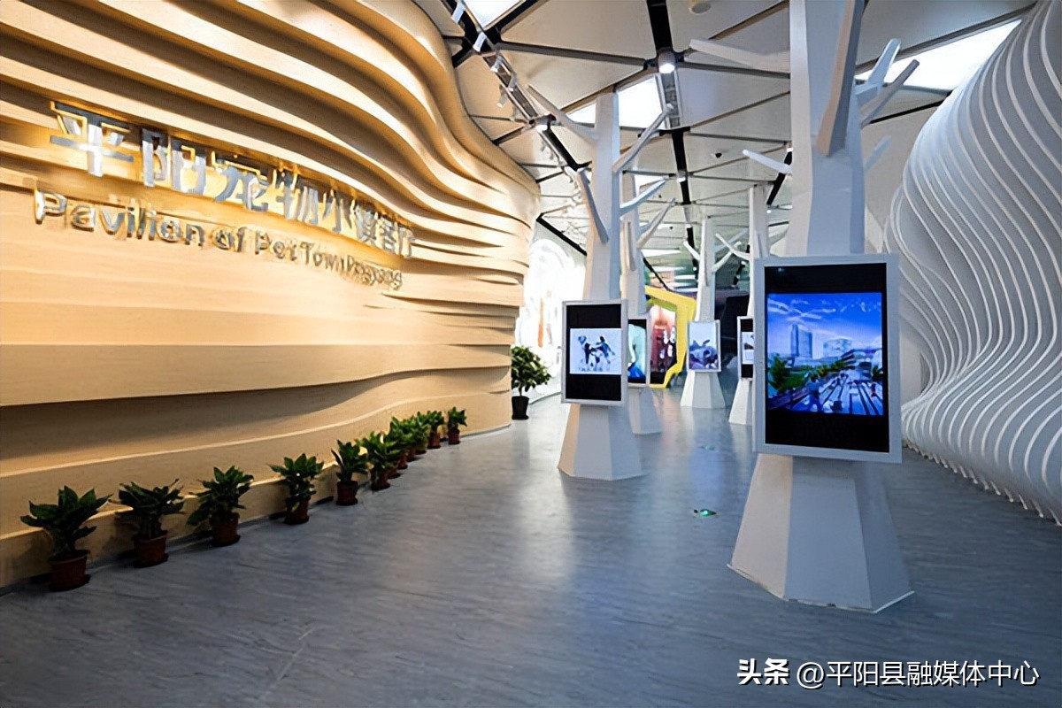 来平阳我宠你丨打造宠物产业新蓝海