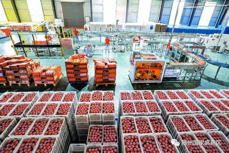 蝶变跃升是什么,蝶变跃升五大行动