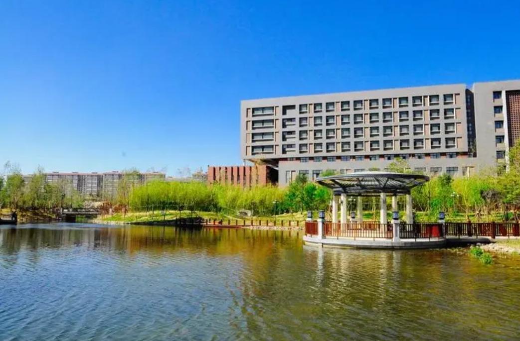 上海交大的就业率,上海财大就业机会怎样