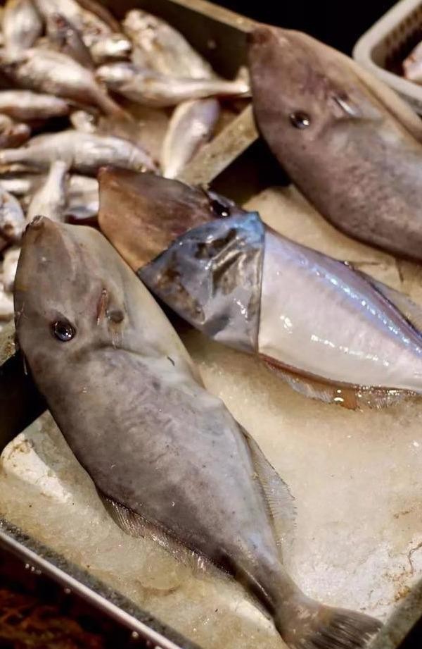 最常见的50种食用鱼吃法和价格,十种常用食用鱼类介绍