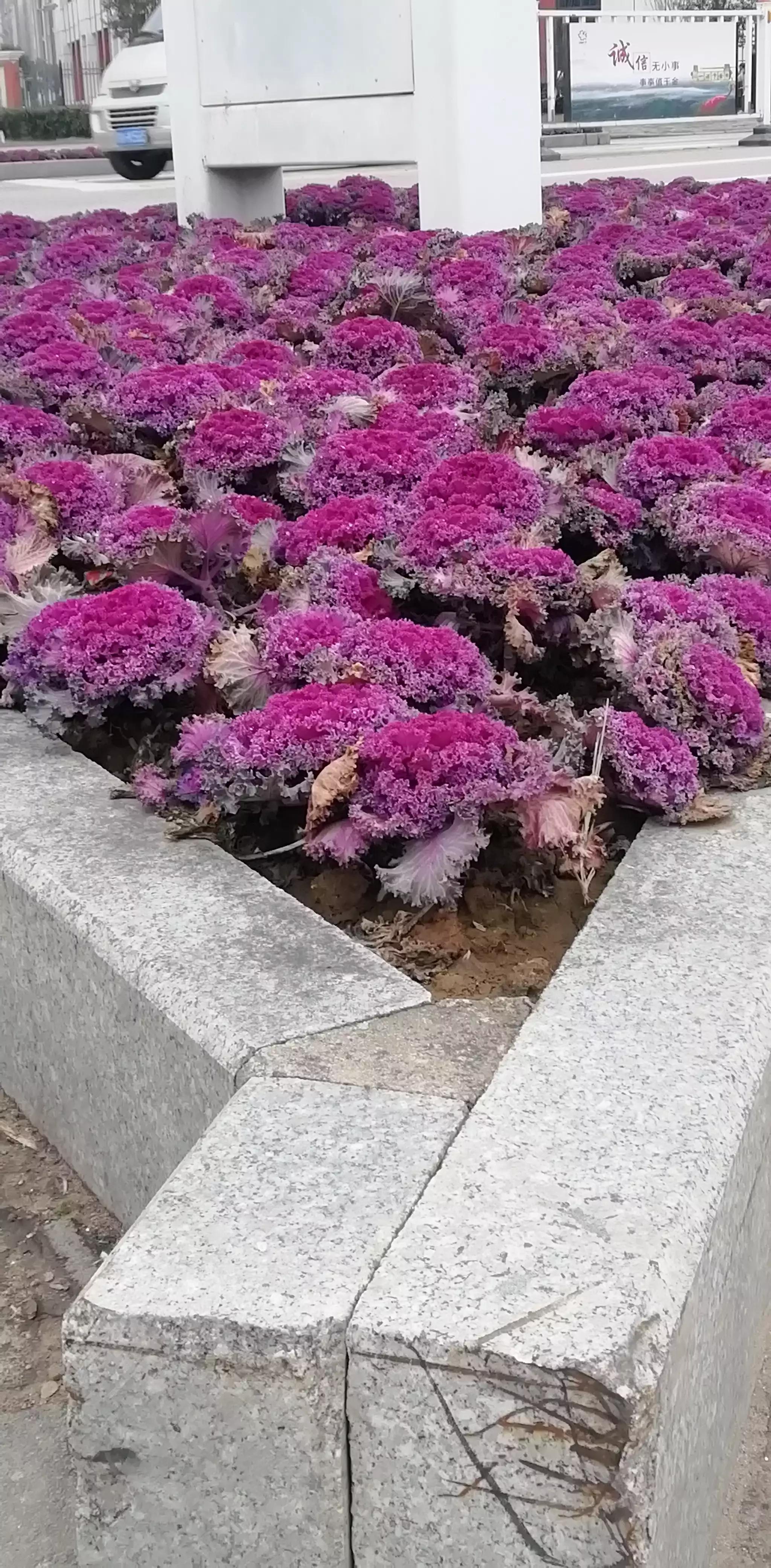 请投友们评论拍摄的怎么样？