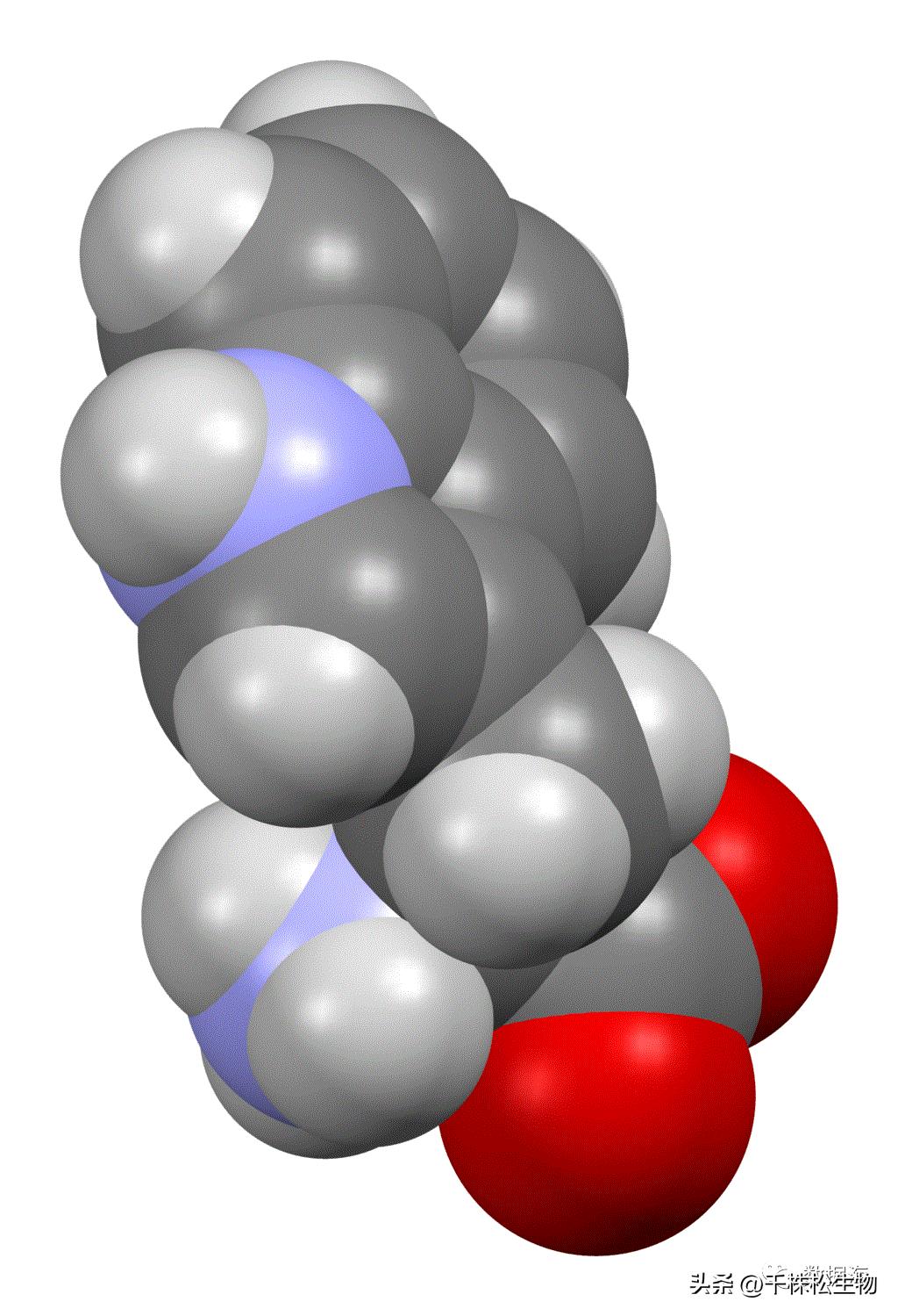 色氨酸是氨基酸,色氨酸和氨基酸的区别