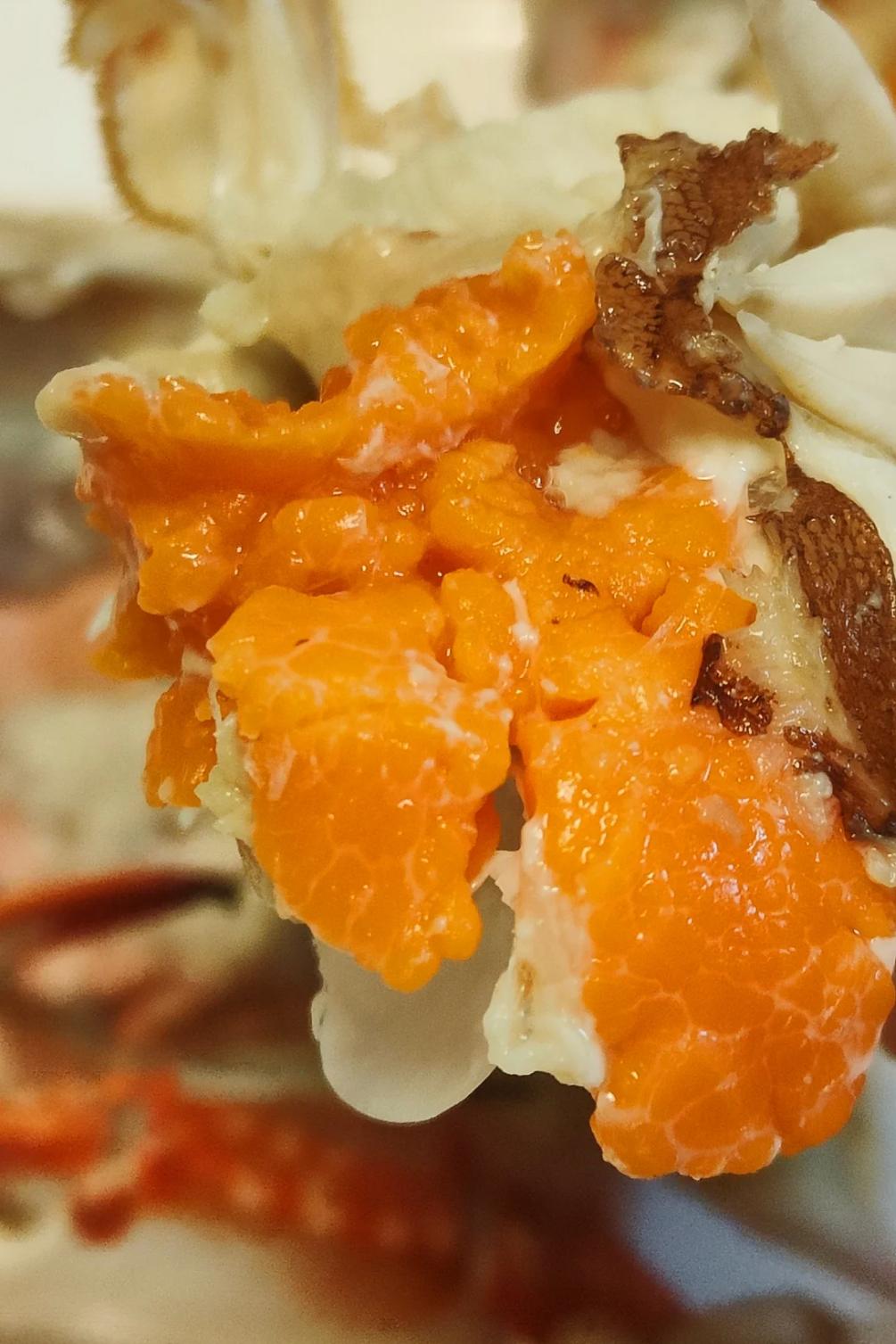 山东必吃海鲜盘点,山东十大特色海鲜