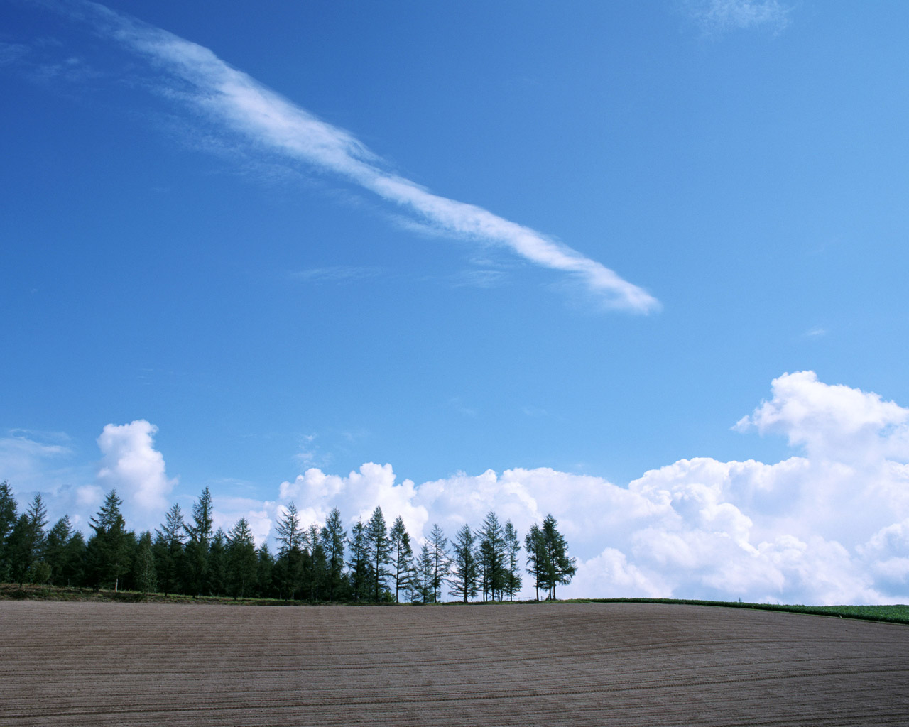 蓝天白云草地壁纸图片,蓝天白云草地风景壁纸高清唯美