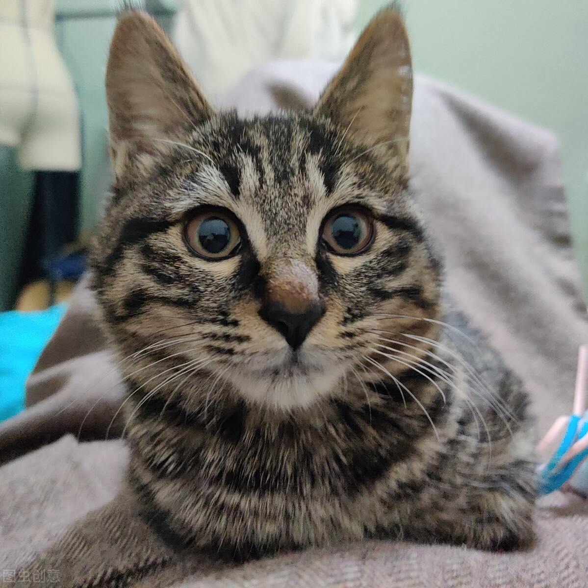 我是真的讨厌异地恋电影,我不喜欢异地恋但我喜欢你电影