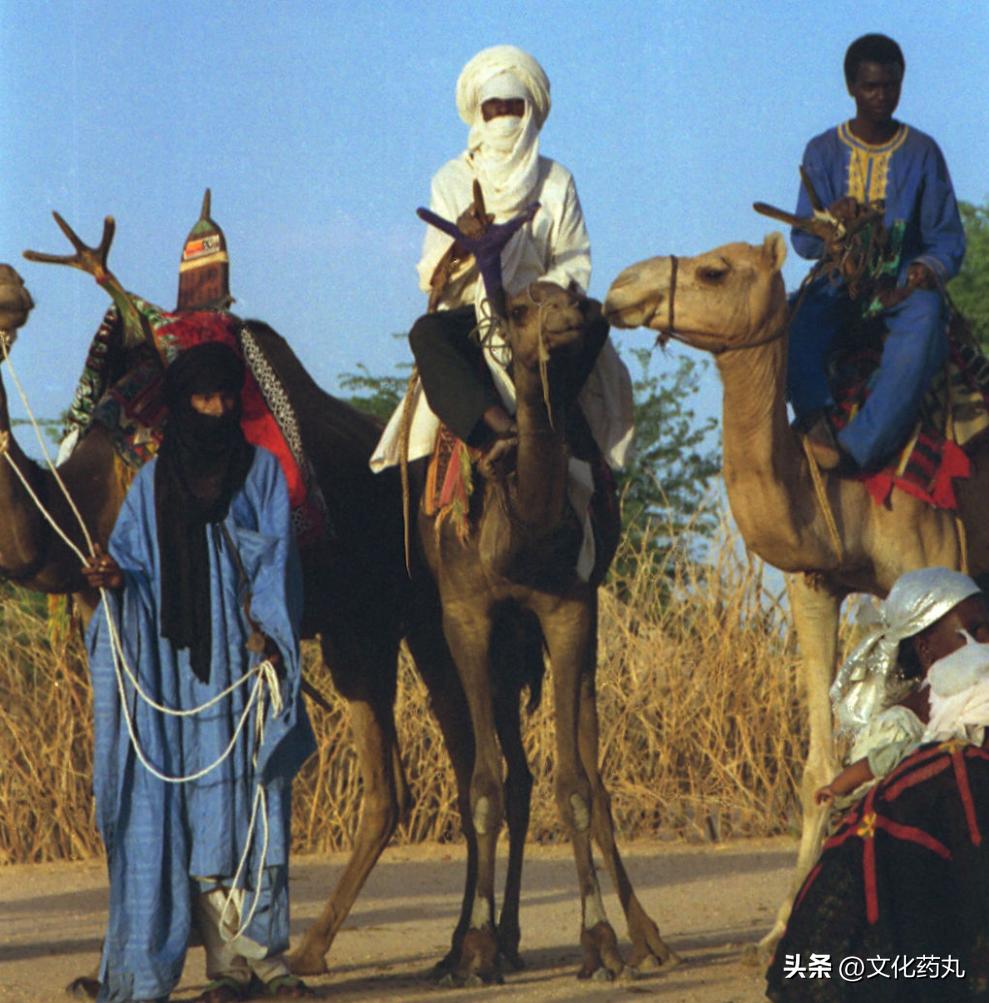 探索非洲最大的国家——阿尔及利亚