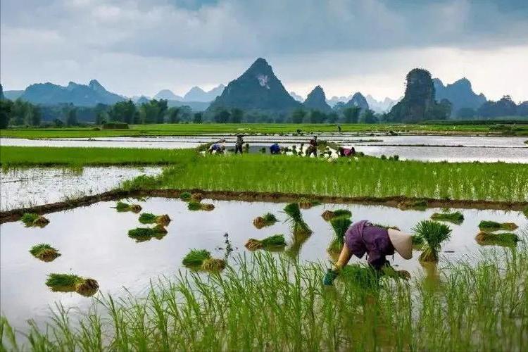 最具人间烟火的古诗词,人间烟火味满满的二十句诗词