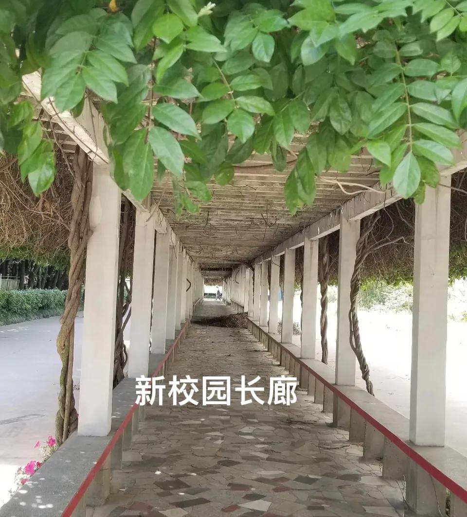 我苦恼的初中生活,我的初中日常生活