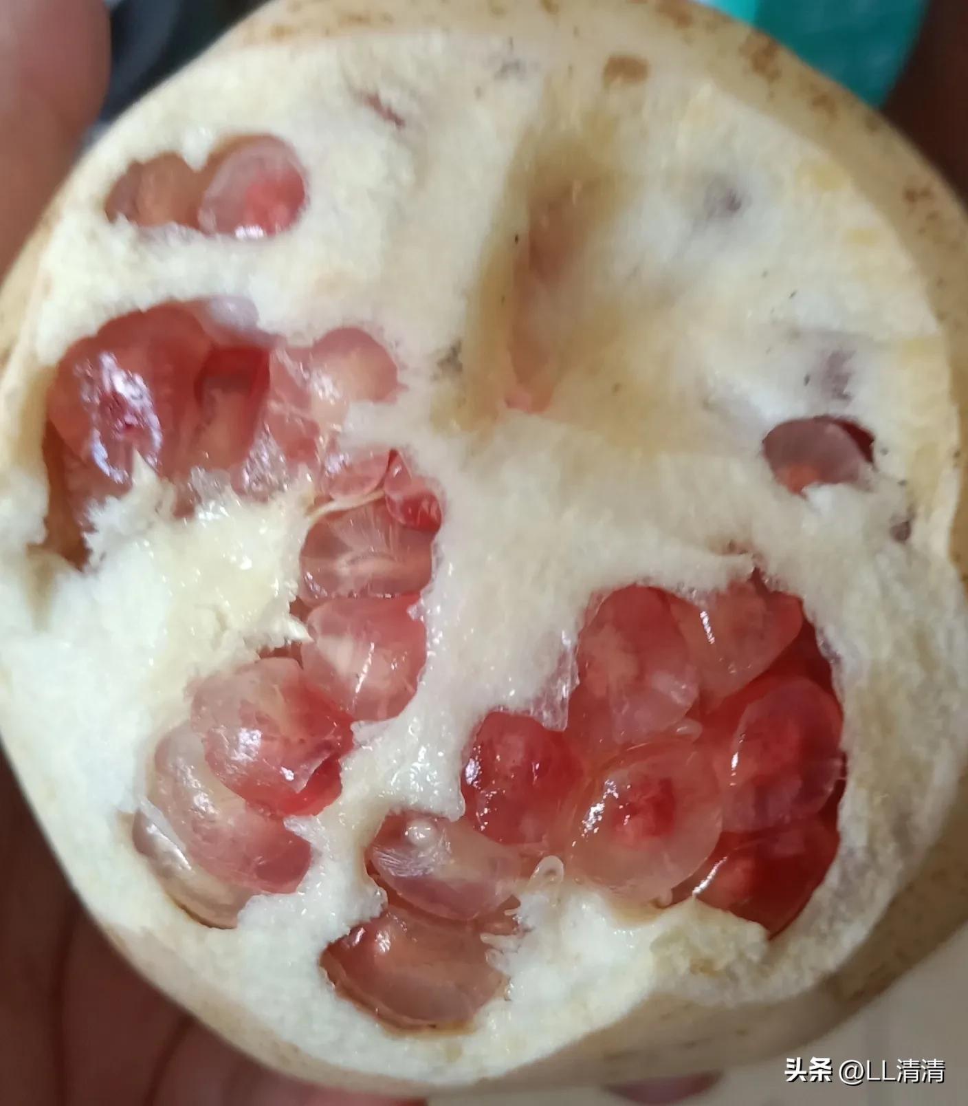 农村的这种生意太赚钱了！小伙子去村里卖水果，两年时间买车买房