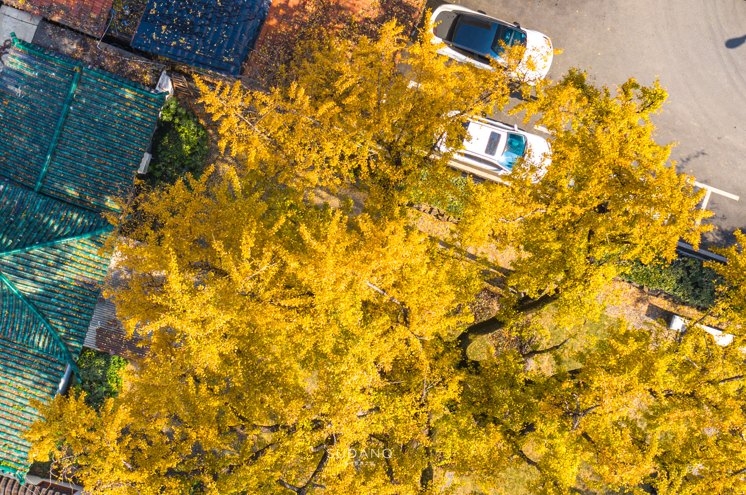 大自然塑造了我,大自然塑造者