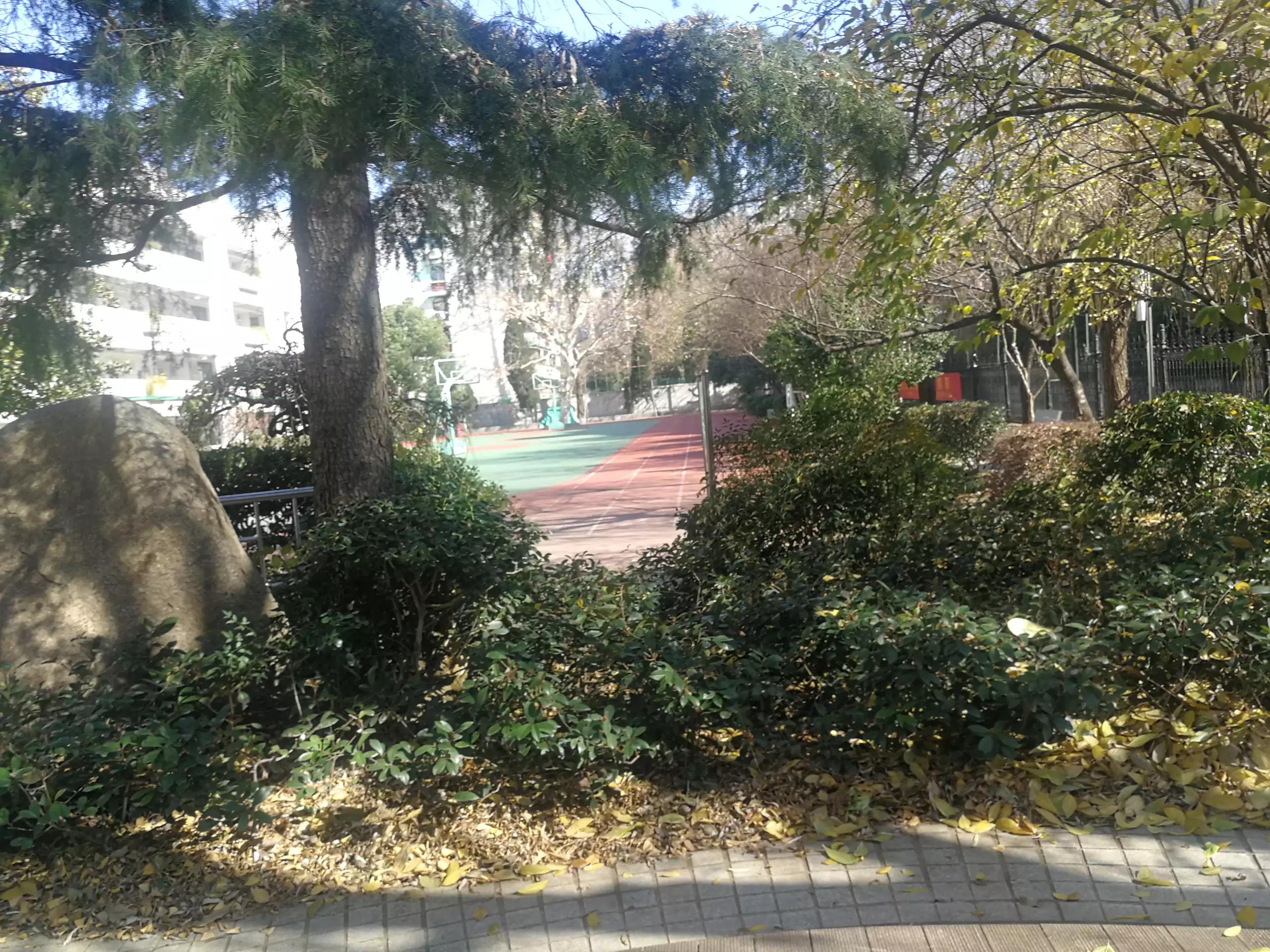 忆起六十多年前“文一街小学”的如烟往事