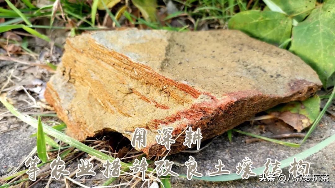 青砖茶为什么这么多,永巨青砖茶