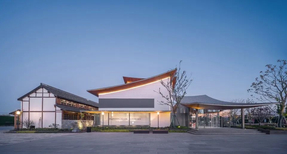 乡村振兴谋划不全不细典型案例,国内外乡村振兴典型代表及案例