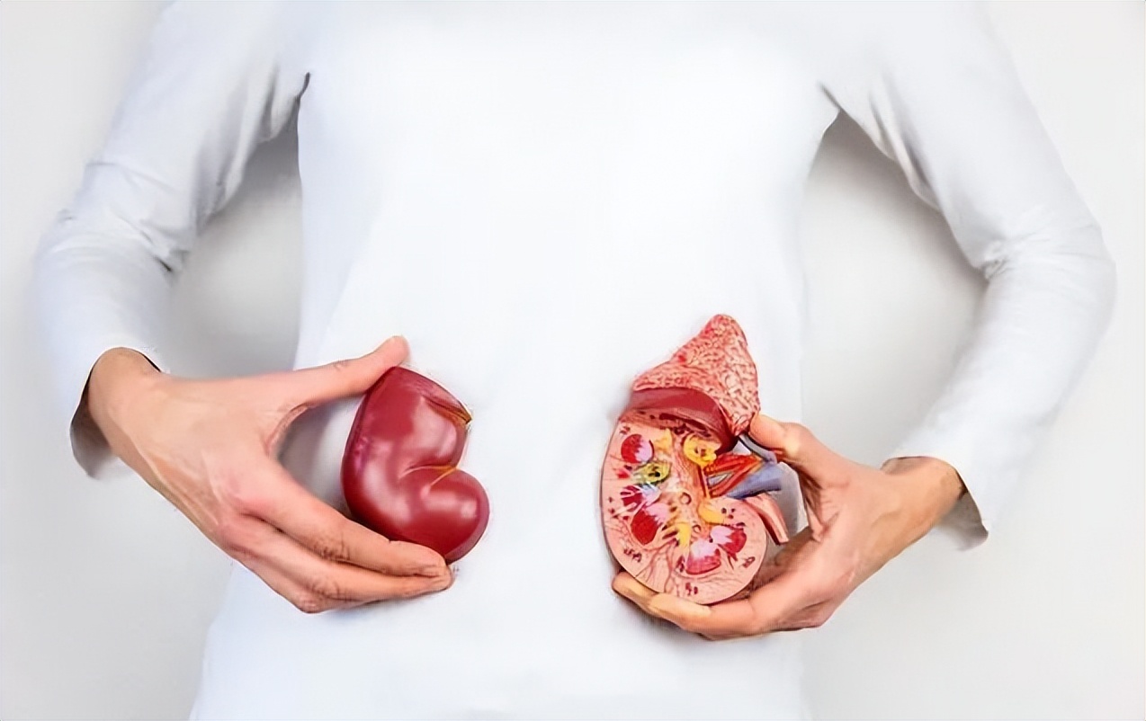 肾癌基因检测靶向治疗,肾癌肺转移靶向治疗能活多久