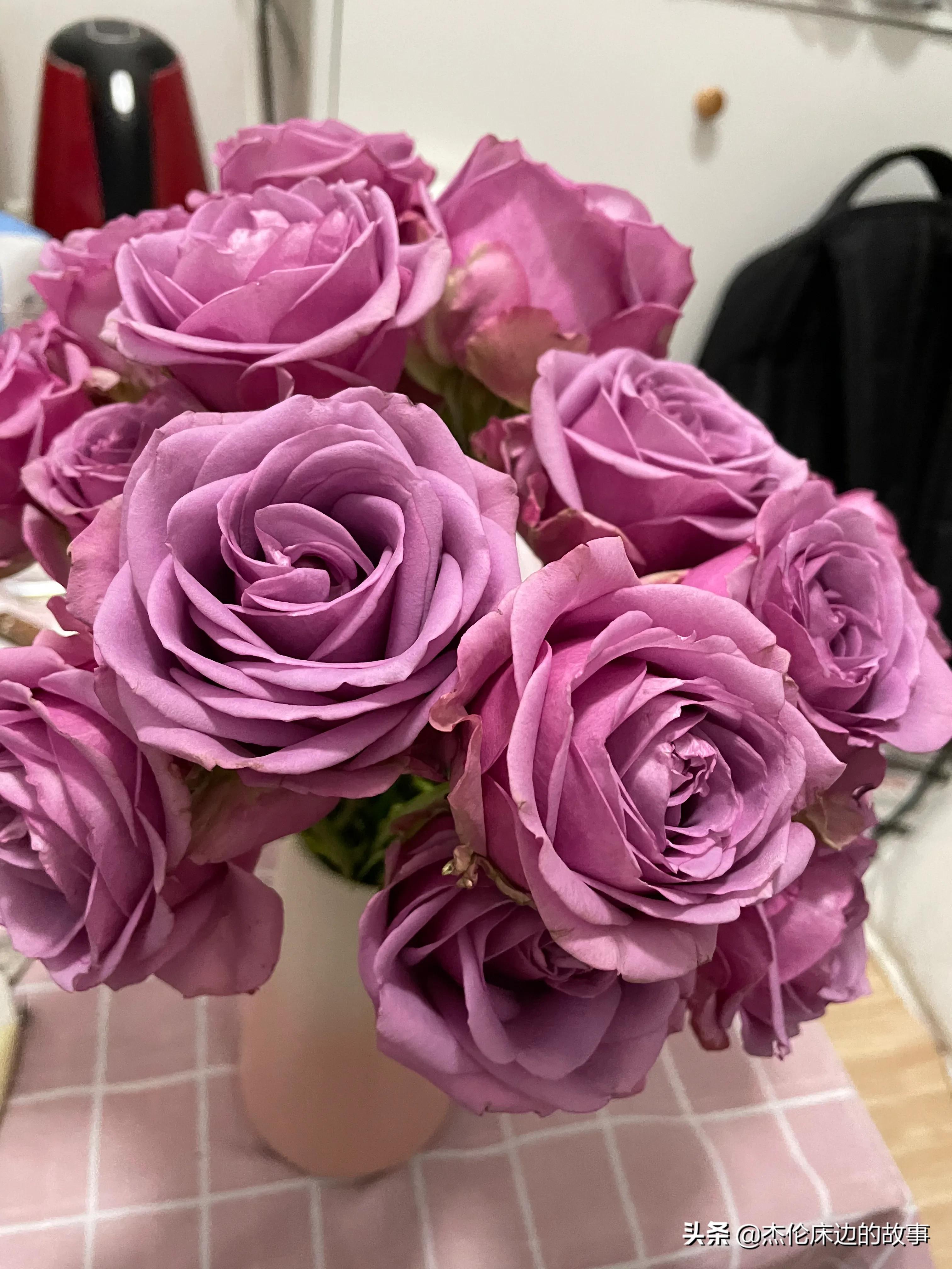 网上鲜切花怎么养护,最耐养的鲜切花