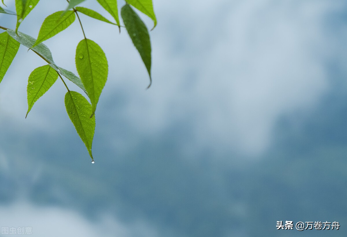 母亲走了如何走出悲伤,妈妈走了如何化解内心痛苦